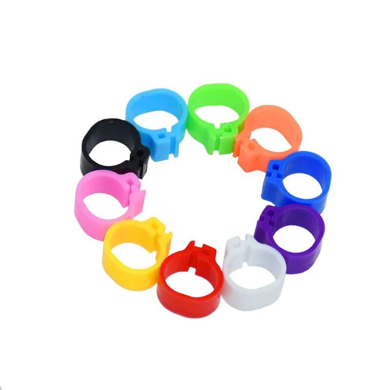 200 gab. Putnu saspraudes gredzens 8 mm 10 mm plastmasas līgavas pēdas gredzens 10 krāsu bajoneta identifikācijas baložu gredzens putnu apmācības piederumi