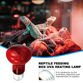 Топлинна крушка за влечуги. Високоинтензивна UVA крушка. Отоплителна лампа за влечуги и земноводни. Използвайте сгряваща светлина за костенурка с брада.