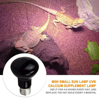Λαμπτήρας θερμότητας ερπετών Υψηλής έντασης λαμπτήρας UVA για ερπετά και χρήση αμφίβιων Φως για χελωνάκια με γενειάδα