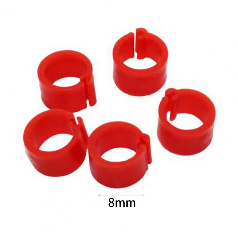 100 gab. Putnu kāju klipši, nekaitīgi paplašināmi plastmasas maisījuma krāsas 8 mm baložu pēdas gredzeni mājdzīvnieku putnu piederumiem