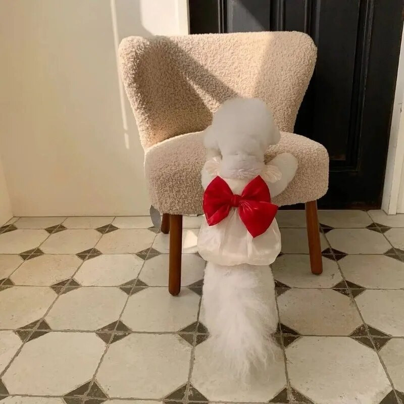 Modes mušu piedurknes loks mājdzīvnieku princeses kleita pavasara vasara kaķu apģērbs suņu kleita kucēns maltietis bišons Jorkšīras mazs suns