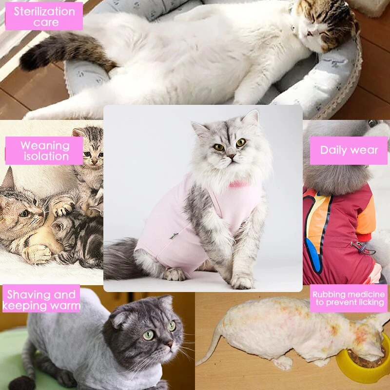 Στολή χειρουργικής γάτας για αποστείρωση κατοικίδιων ζώων για μικρό μεσαίο γιλέκο σκύλου τετράποδη φόρμα για κουτάβι γατάκι Ρούχα Τσιουάουα