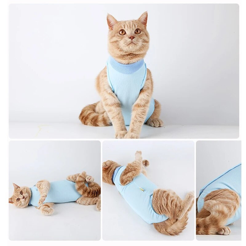 Στολή χειρουργικής γάτας για αποστείρωση κατοικίδιων ζώων για μικρό μεσαίο γιλέκο σκύλου τετράποδη φόρμα για κουτάβι γατάκι Ρούχα Τσιουάουα