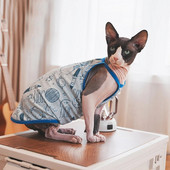 Sfinksi kassirõivad Sfinksi sinine puuvillane vest pehme varrukateta särk kassipoegade mantel hingav Devon Rex pehmete riiete tarnija