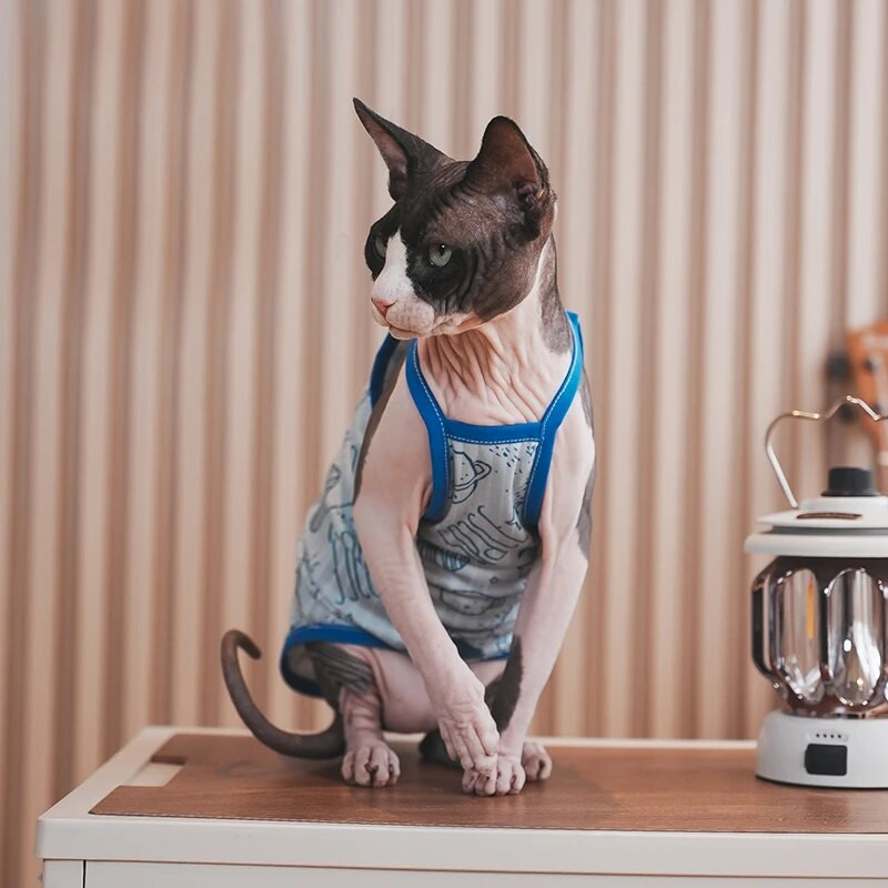 Sphynx Cat Clothing Sphinx Blue βαμβακερό γιλέκο Μαλακό αμάνικο πουκάμισο Kittens Coat Breathable Devon Rex Soft Clothing Cat Προμηθευτής