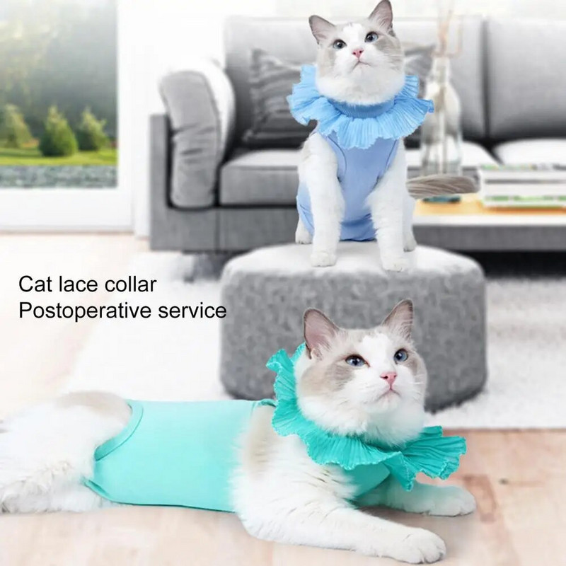 Lemmikloomade taastamise ülikond, saba avamine, peen töötlus Nakatumise vältimine Kasside kaitseriided Lemmikloomatarbed