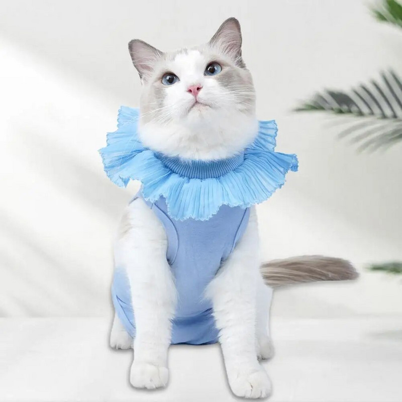 Lemmikloomade taastamise ülikond, saba avamine, peen töötlus Nakatumise vältimine Kasside kaitseriided Lemmikloomatarbed