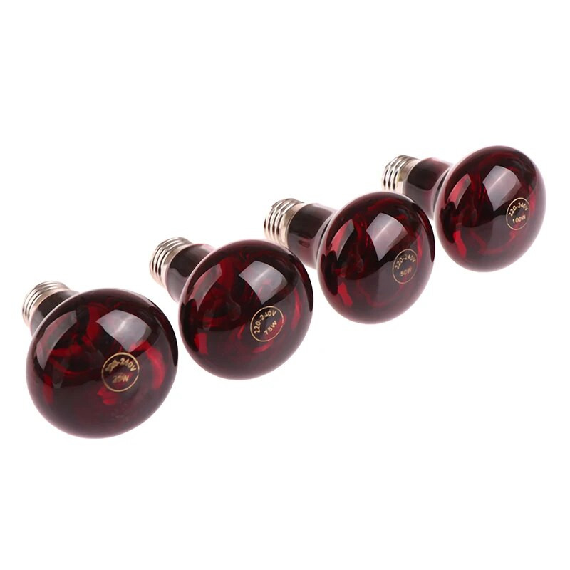 Pet Red Heating Lamp E27 Day Night for Amphibian Snake Lamp Heat Reptile Bulb UV Light 25W 50W 75W 100W 220V