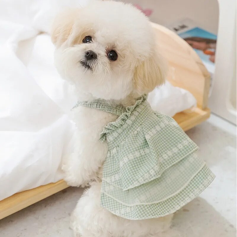 Suņu rūtaini svārki Vasaras kleita suņa sukaņi Plānas suņu drēbes Čivavas Korejas Bišons Kucēnu Apģērbs Kaķēnu Suņu Mežģīnes Margrietiņas Kleitas