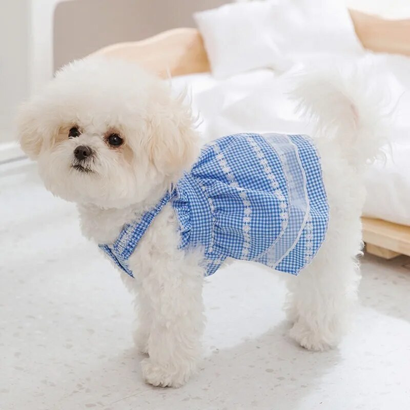 Suņu rūtaini svārki Vasaras kleita suņa sukaņi Plānas suņu drēbes Čivavas Korejas Bišons Kucēnu Apģērbs Kaķēnu Suņu Mežģīnes Margrietiņas Kleitas