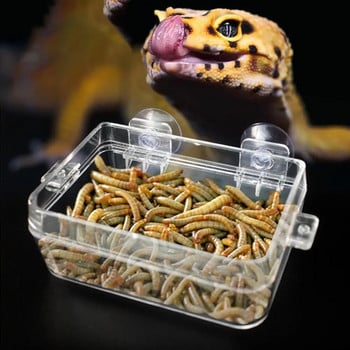 Прозрачна хранилка за влечуги Купа за храна срещу бягство Контейнер за живи червеи със здрави вендузи Стоки за домашни любимци