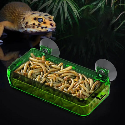 Прозрачна хранилка за влечуги Купа за храна срещу бягство Контейнер за живи червеи със здрави вендузи Стоки за домашни любимци