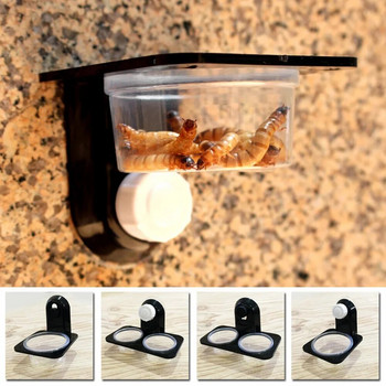 1 бр. резервоар за влечуги насекоми паяк мравки гнездо змия гекон храна вода купа за хранене хранилки за разплод кутия консумативи за домашни любимци