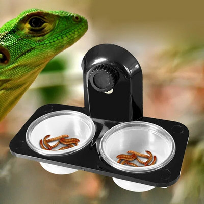 1pcs Reptile Tank Insect Spider Ants Nest Snake Gecko Food Water Feeding Bowl Breeding Feeders Box Pets Supplies