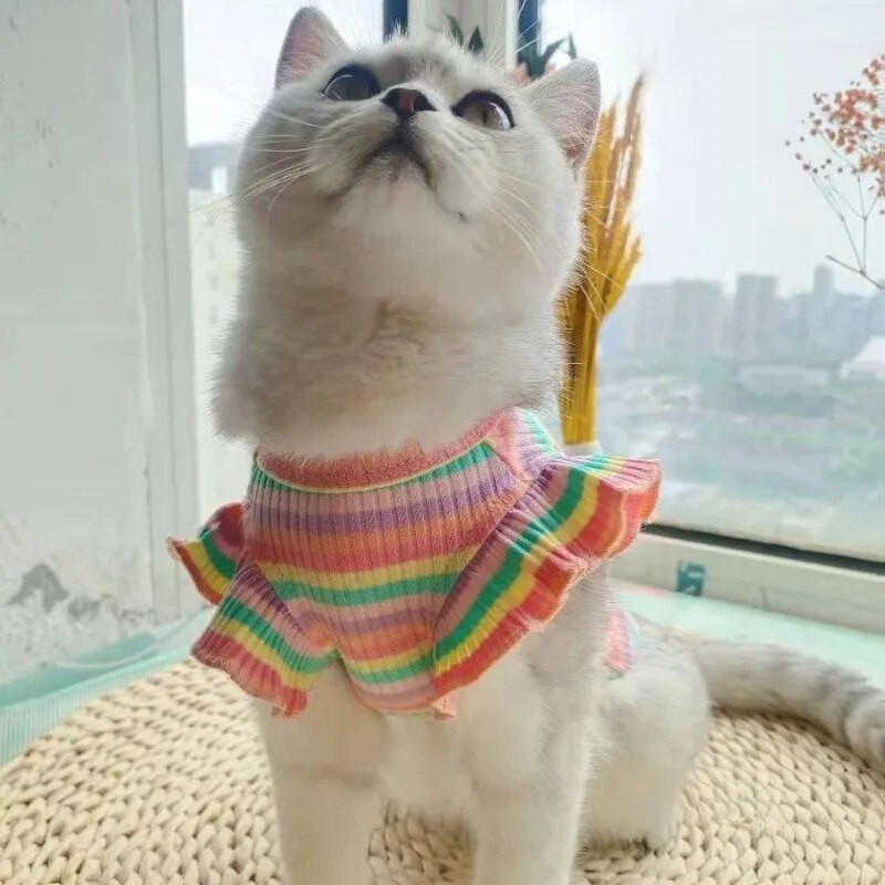 Kaķa vasaras veste plānas pretapmatojuma kucēns Jauka sudraba pakāpeniska lelle