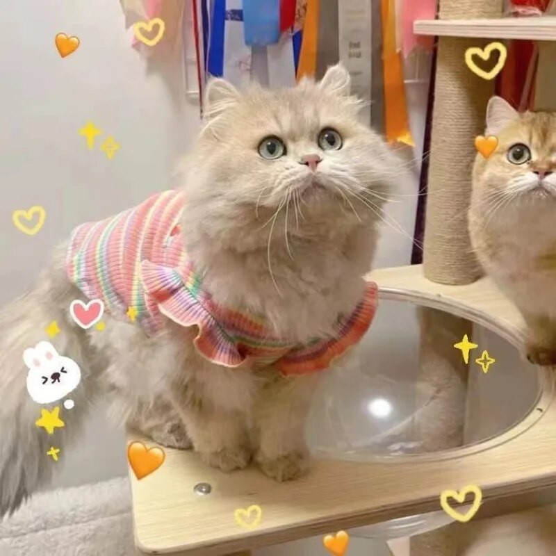 Kaķa vasaras veste plānas pretapmatojuma kucēns Jauka sudraba pakāpeniska lelle