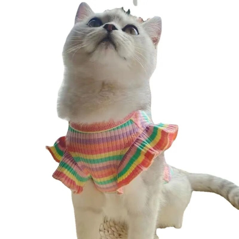Kaķa vasaras veste plānas pretapmatojuma kucēns Jauka sudraba pakāpeniska lelle