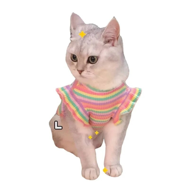 Kaķa vasaras veste plānas pretapmatojuma kucēns Jauka sudraba pakāpeniska lelle