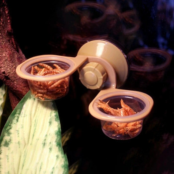 Gecko Lizard Bearded Feeding Ledge Gecko Food Water Dish Food Bowl Βεντούζα σκουλήκι Τροφοδότης προμήθειες για μικρά ερπετά