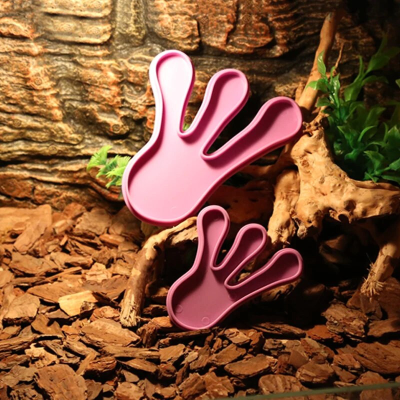 Hrănitoare pentru reptile amfibie Păsări păianjen Bazin de hrănire pentru reptile din plastic Broasca testoasă șopârlă Bol pentru reptile Dozator de apă pentru broaște țestoasă