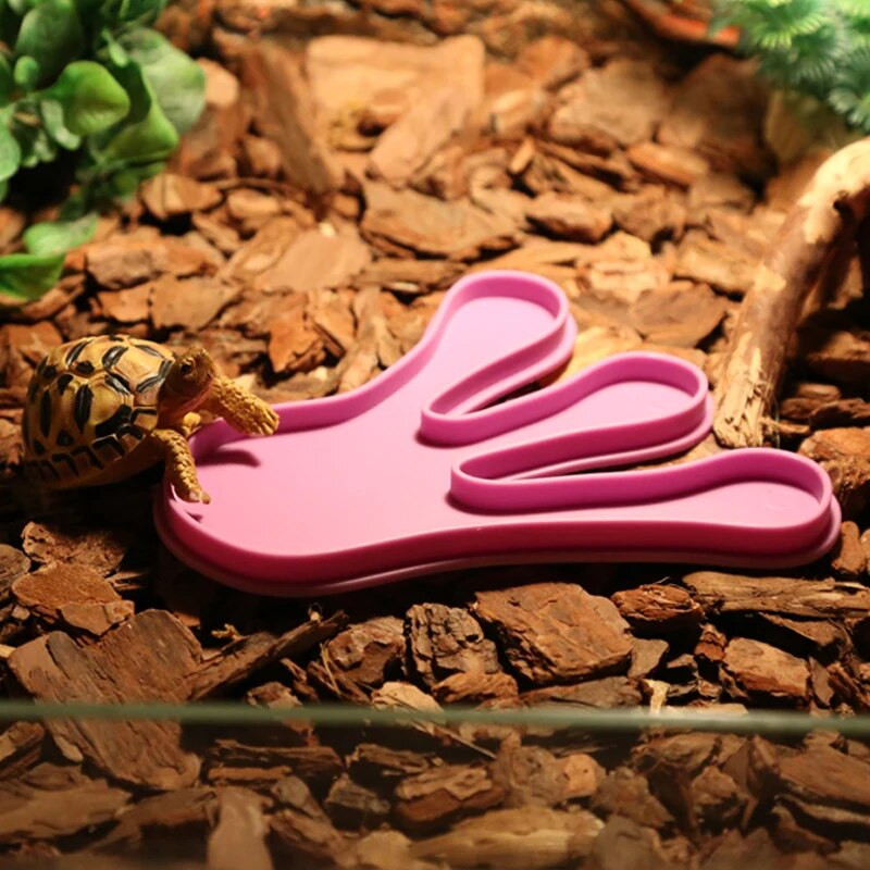 Hrănitoare pentru reptile amfibie Păsări păianjen Bazin de hrănire pentru reptile din plastic Broasca testoasă șopârlă Bol pentru reptile Dozator de apă pentru broaște țestoasă