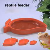 Reptile Dish Food Bowl Σχήμα μάνγκο Τροφοδότης νερού Χελώνα Habitat Αξεσουάρ ποτού Πιάτο για Turtle Lizards Χάμστερ Snakes