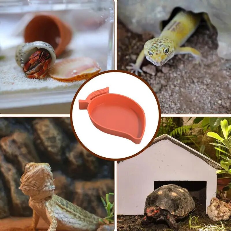 Reptile Dish Food Bowl Σχήμα μάνγκο Τροφοδότης νερού Χελώνα Habitat Αξεσουάρ ποτού Πιάτο για Turtle Lizards Χάμστερ Snakes