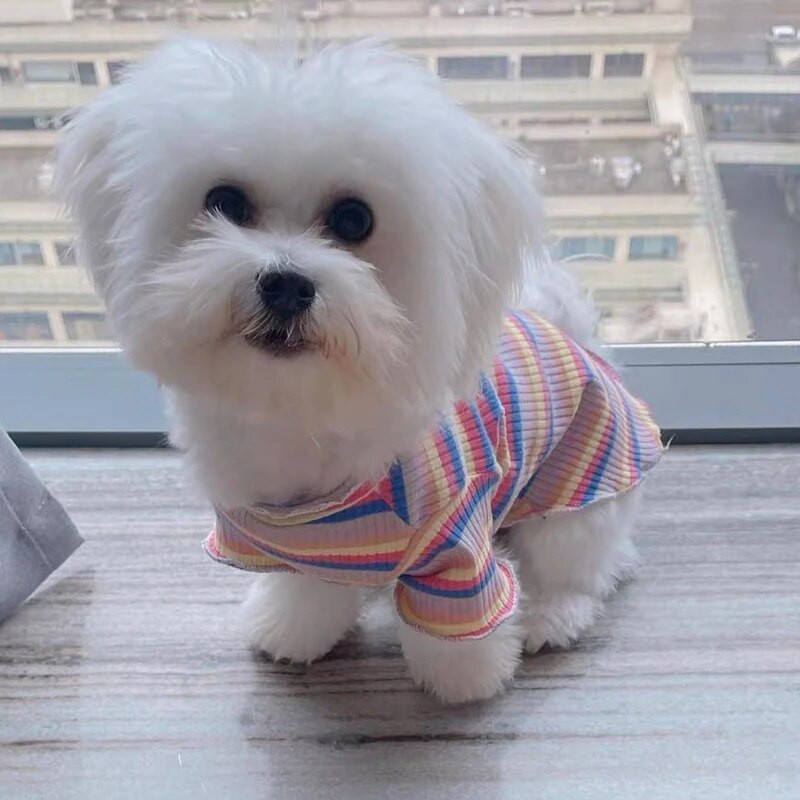 Zimska odjeća za male pse Odjeća za velike pse Majica za pse Odjeća za mačke Proizvodi za kućne ljubimce Proljetna majica za mačke Proljetne srednje velike čivave