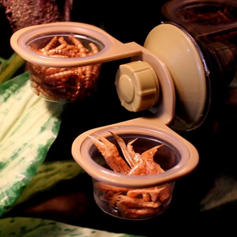 Liela novērošanas zona Kāpurķēžu barošanas ierīce PP kompakts, praktisks rāpuļu barības piekarināmais pods ar vienu dubulto baseinu