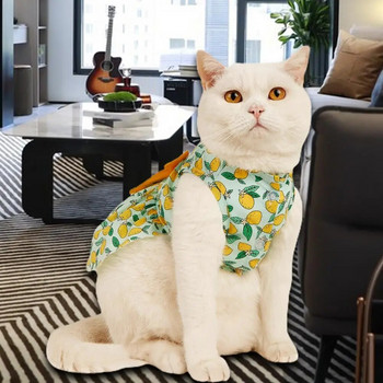 Υπέροχη φούστα γάτας που διακοσμεί γιλέκο κατοικίδιων με λεμόνι Ρούχα εκτύπωσης πουλόβερ με απαλή υφή Φόρεμα γατάκι για πάρτι
