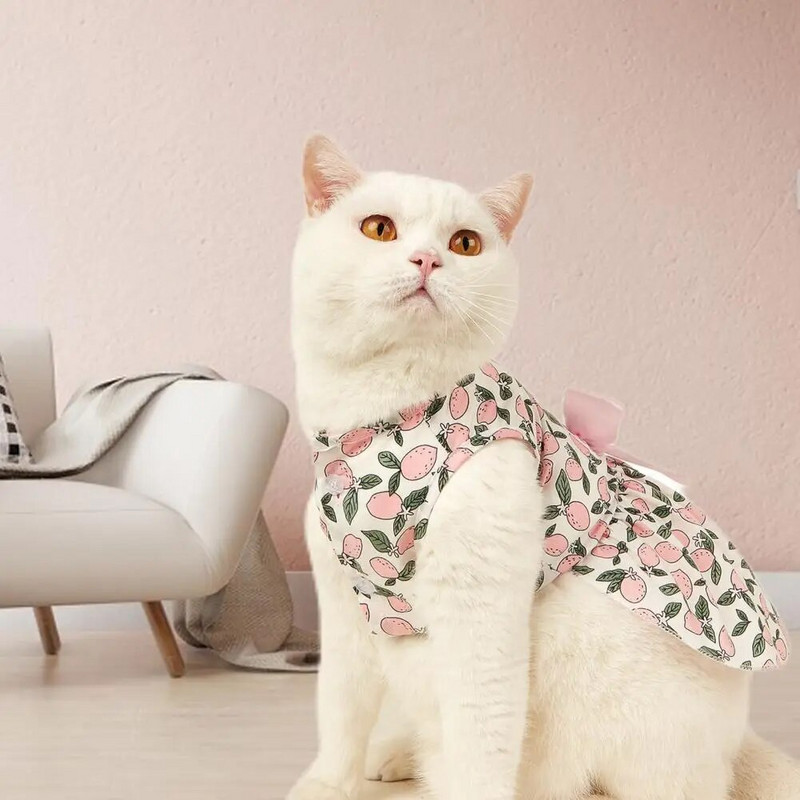 Jauki kaķu svārki, kas rotā mājdzīvnieku veste ar citronu apdruku, drēbes džemperis Mīkstas tekstūras kaķēnu kleita ballītei