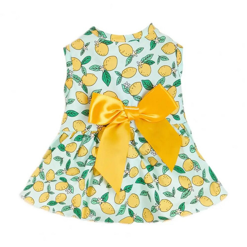 Jauki kaķu svārki, kas rotā mājdzīvnieku veste ar citronu apdruku, drēbes džemperis Mīkstas tekstūras kaķēnu kleita ballītei