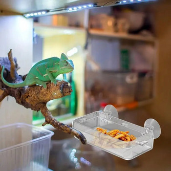 Reptile Ledge Feeder Βεντούζα βεντούζας Gecko Ledge Feeder Anti-Escape Mealworm Bowl Ανθεκτική λεκάνη τροφοδοσίας Προμήθειες για κατοικίδια
