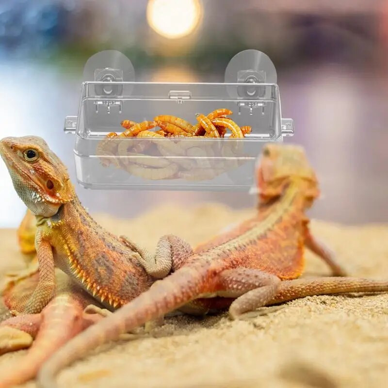 Rāpuļu dzegas padeves piesūceknis Gecko dzegas padevējs pret bēgšanu miltu tārpu bļoda izturīgs barošanas baseins mājdzīvnieku piederumi