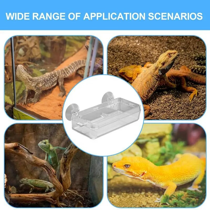 Rāpuļu dzegas padeves piesūceknis Gecko dzegas padevējs pret bēgšanu miltu tārpu bļoda izturīgs barošanas baseins mājdzīvnieku piederumi