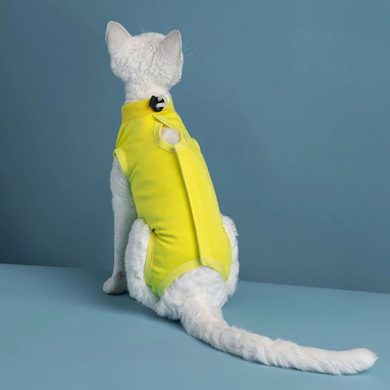 Γιλέκο αποστείρωσης γάτας για μικρόσωμους μεσαίους σκύλους Ρούχα αποκατάστασης κατά του γλείψιμου Κουτάβι Ολόσωμη φόρμα αποστείρωσης γατάκι Στολή αποστείρωσης Προμήθειες για γάτες