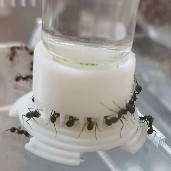 5-40 мл Кула за подаване на вода за мравки за къща за мравки Работилница за подаване на вода за гнездо на мравки Бутилка за пиене Поилка за мравки Направи си сам аксесоари