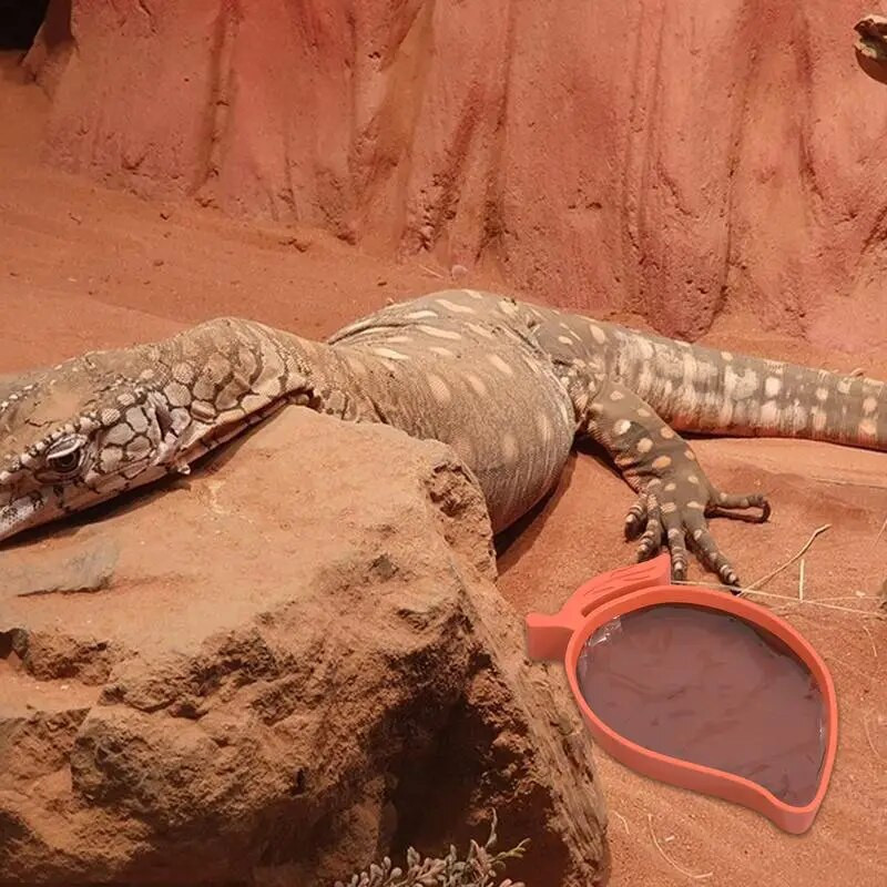 Σχήμα μάνγκο Ερπετοτροφοδότης Τροφή Μπολ Νερού για Χελώνες Σαύρες Χάμστερ Φίδια Χελώνα Γκέκο Μικρά κατοικίδια Τροφοδότης Προμήθειες κατοικίδιων