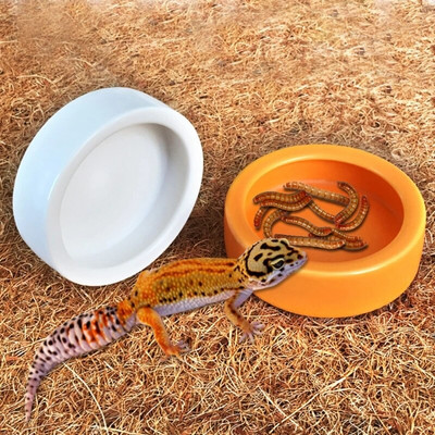 Water Bowl Worm Dish Ceramic Pet Bowls Anti-Escape Mini Mealworms Bowl for Lizard Bearded Dragon
