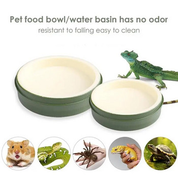 Reptile Water Bowl Τροφοδοσία φαγητού Πιάτο πιάτων για πόση Επαναχρησιμοποιήσιμα μπολ με νερό πιάτων τροφοδοσίας ερπετών για Gecko Tortoise Frog Hermit
