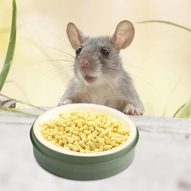 Reptile Water Bowl Τροφοδοσία φαγητού Πιάτο πιάτων για πόση Επαναχρησιμοποιήσιμα μπολ με νερό πιάτων τροφοδοσίας ερπετών για Gecko Tortoise Frog Hermit