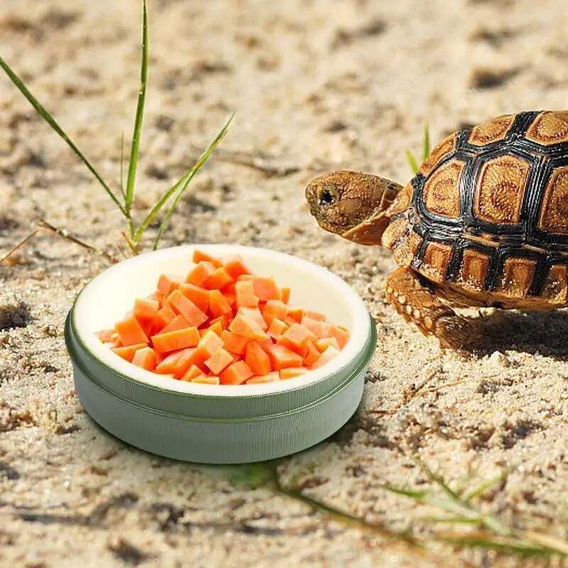 Reptile Water Bowl Τροφοδοσία φαγητού Πιάτο πιάτων για πόση Επαναχρησιμοποιήσιμα μπολ με νερό πιάτων τροφοδοσίας ερπετών για Gecko Tortoise Frog Hermit