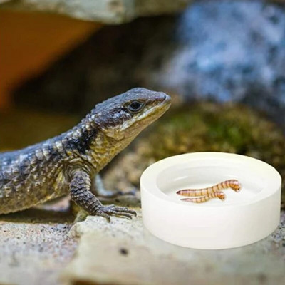 Reptile Water Food Bowl Mini kerek hüllőetető Lisztférgek Tál Gecko Remete Rák Reptirock Retile Kisállat etető kellékek