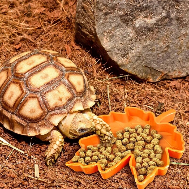 Bļodas ūdens trauku plastmasas bļodas maziem un lieliem mājdzīvniekiem 6XDE