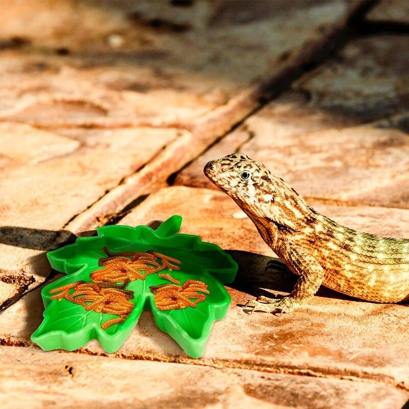 Bļodas ūdens trauku plastmasas bļodas maziem un lieliem mājdzīvniekiem 6XDE