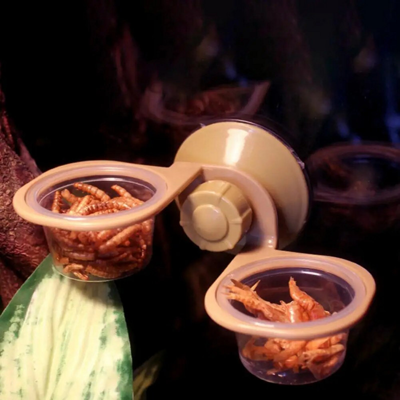 Crawler Pet Feeder Πρακτική τροφή για ερπετά κρεμαστά μονή διπλή λεκάνη Κατσαρόλα με ισχυρή αναρρόφηση ερπετό νερό λεκάνη