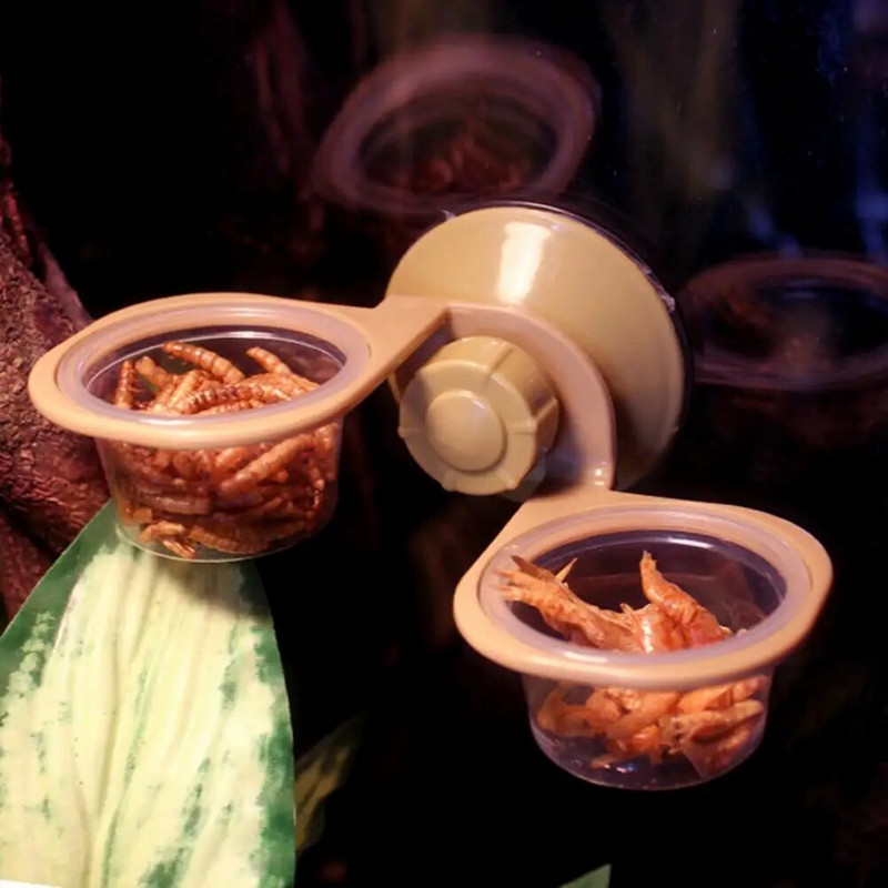 Crawler Pet Feeder Πρακτική τροφή για ερπετά κρεμαστά μονή διπλή λεκάνη Κατσαρόλα με ισχυρή αναρρόφηση ερπετό νερό λεκάνη