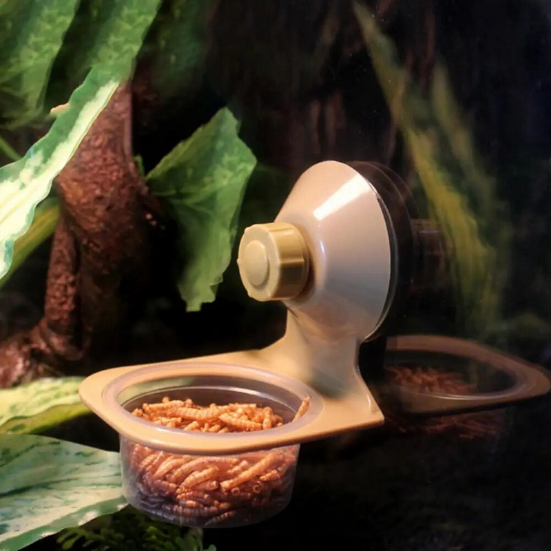 Crawler Pet Feeder Πρακτική τροφή για ερπετά κρεμαστά μονή διπλή λεκάνη Κατσαρόλα με ισχυρή αναρρόφηση ερπετό νερό λεκάνη