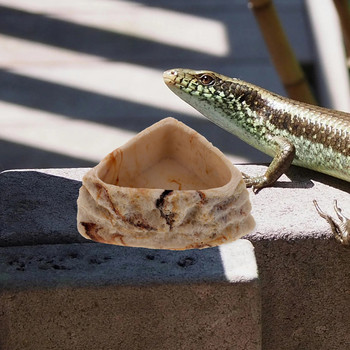 Κύπελλο ερπετών Ζώα Τροφή Νερό Πιάτο ερπυστριοφόρος τροφοδότης πιάτων τροφοδοσίας κατοικίδιων ζώων Ρητίνη χελώνας Terrarium θήκη γκέκο