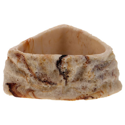 Κύπελλο ερπετών Ζώα Τροφή Νερό Πιάτο ερπυστριοφόρος τροφοδότης πιάτων τροφοδοσίας κατοικίδιων ζώων Ρητίνη χελώνας Terrarium θήκη γκέκο